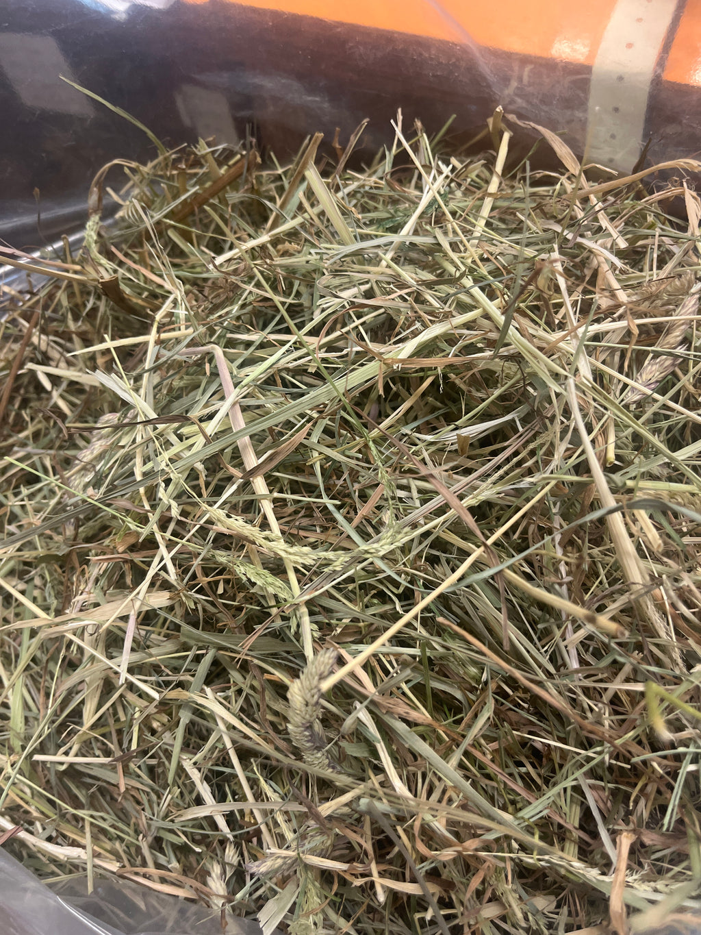 Meadow hay with mixed in Timothy (large bag)