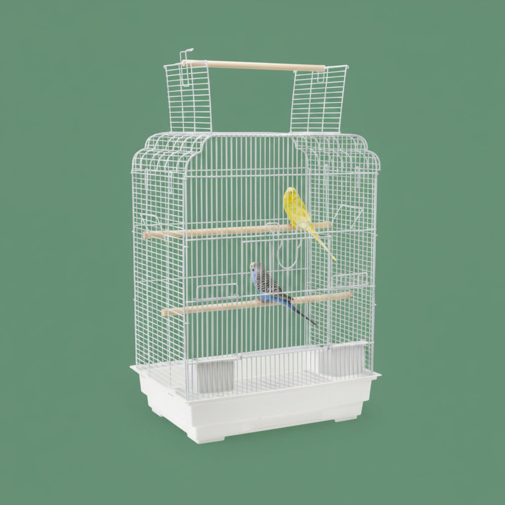 Missouri Bird Cage