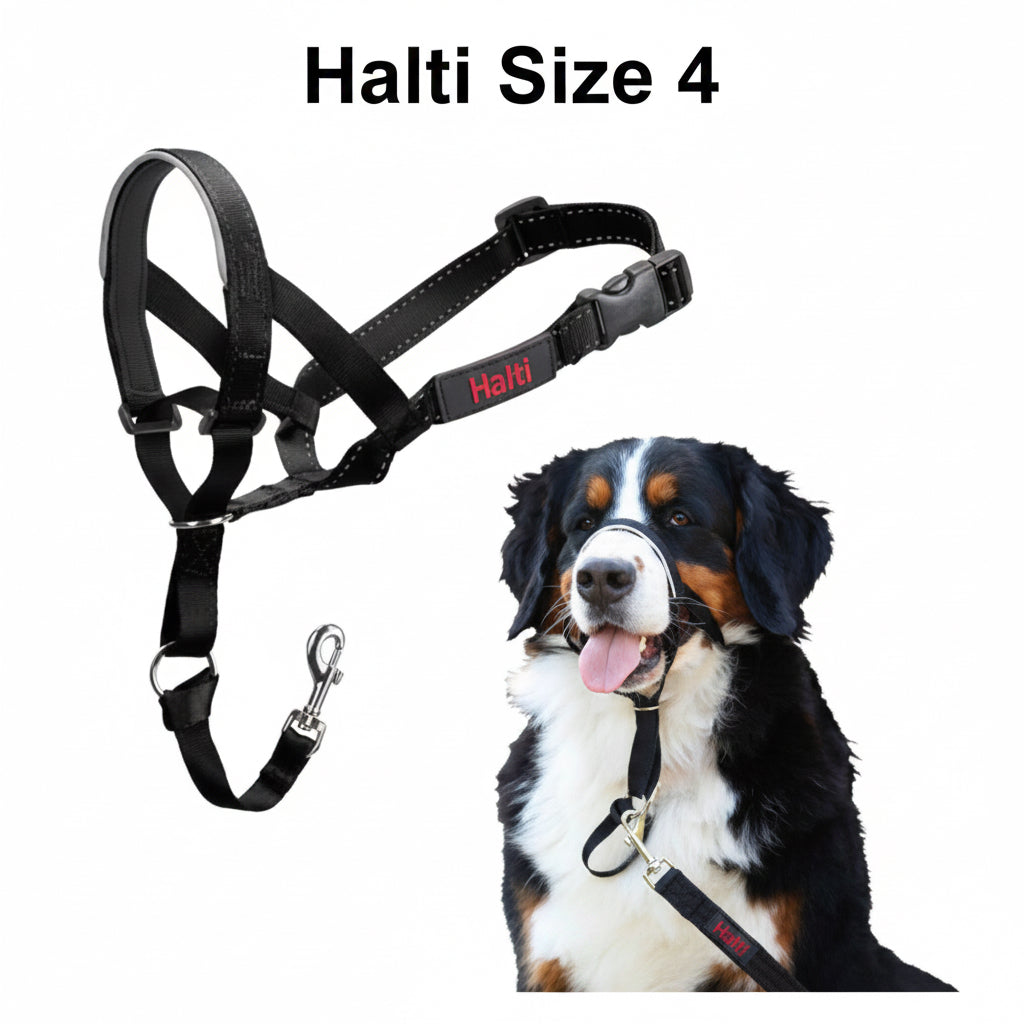 Halti Headcollar Black Size 4