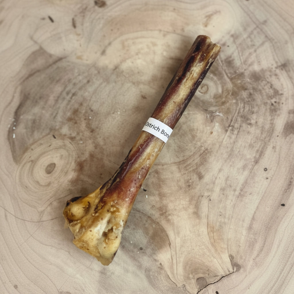 Ostrich Bone