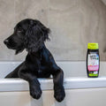 Ancol bath time baby powder dog shampoo 200ml