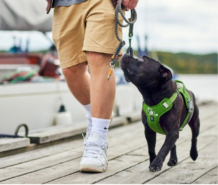 Hurtta Weekend
Warrior Harness II Eco Parsley 60-80cm